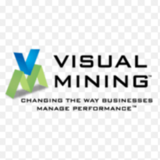 Visual Mining