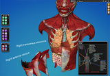 Cyber Anatomy Med VR